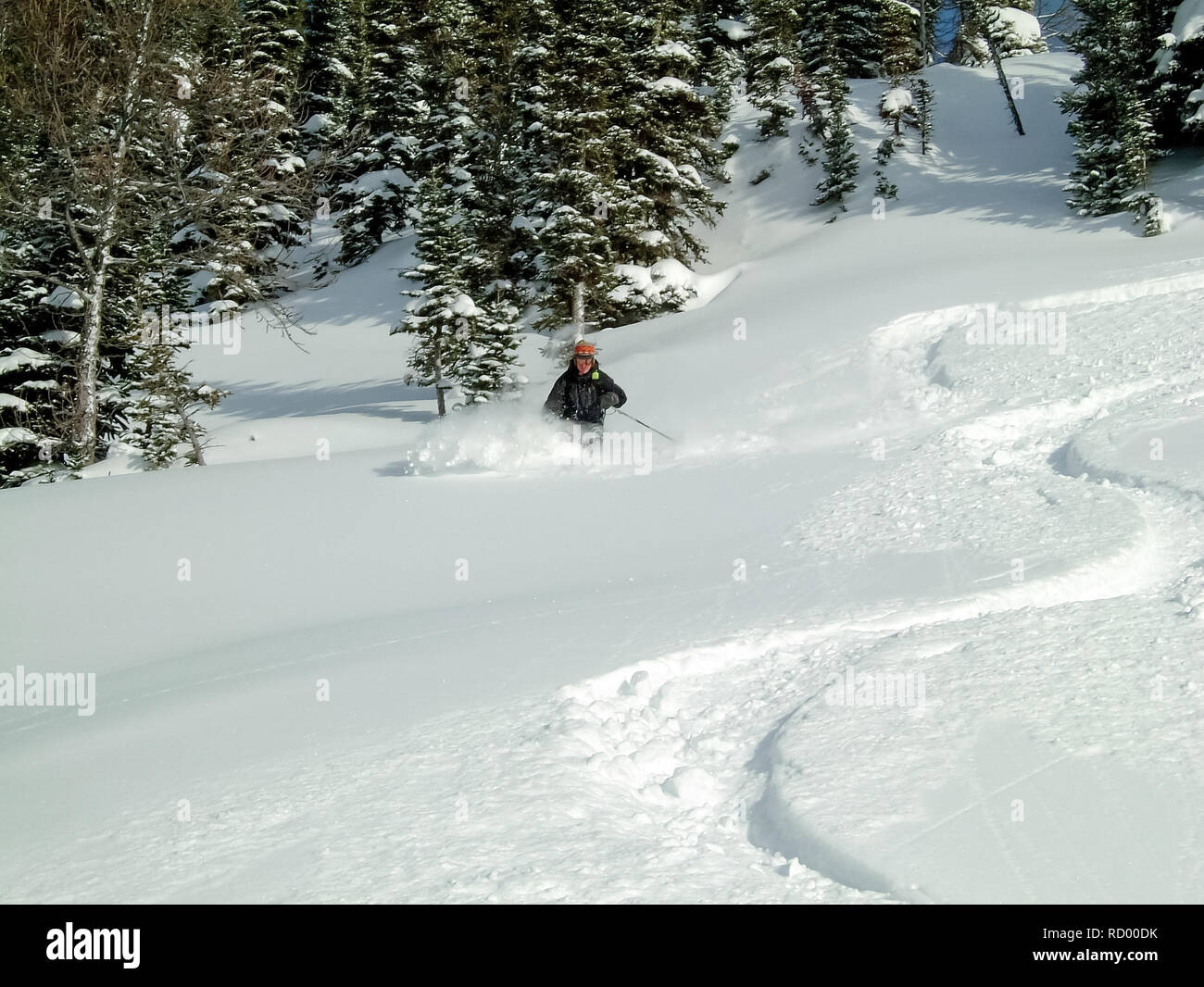 Freeskier in The Bugaboos, a mountain range in the Purcell Mountains, Bugaboo Provincial Park, Britisch Columbia Stock Photo