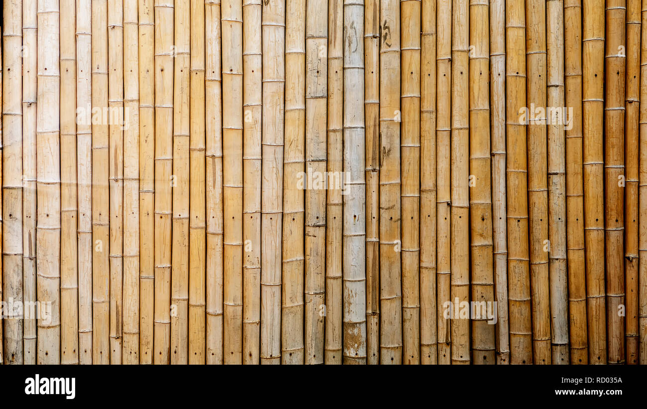 The Dry Bamboo Wall tied with rope Texture Background Stock Photo - Alamy