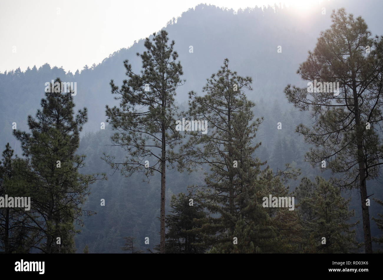 Himalayan landscape viewed from Kasol. Stock Photo
