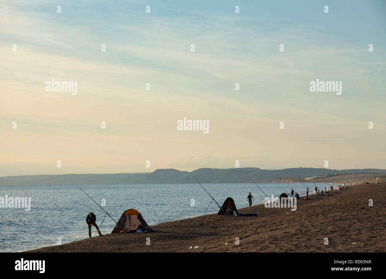 Anglers in the late afternoon towards evening shore fishing on the shingle of Chesil beach. The beach is famous as a sea fishing venue and many differ Stock Photo