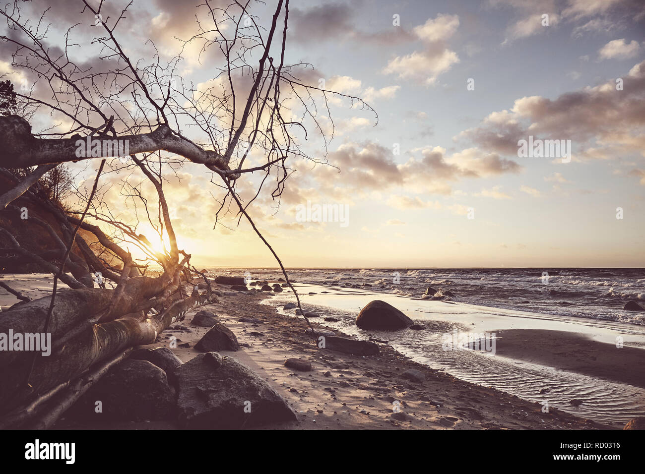 Tree and scenic water hi-res stock photography and images - Alamy