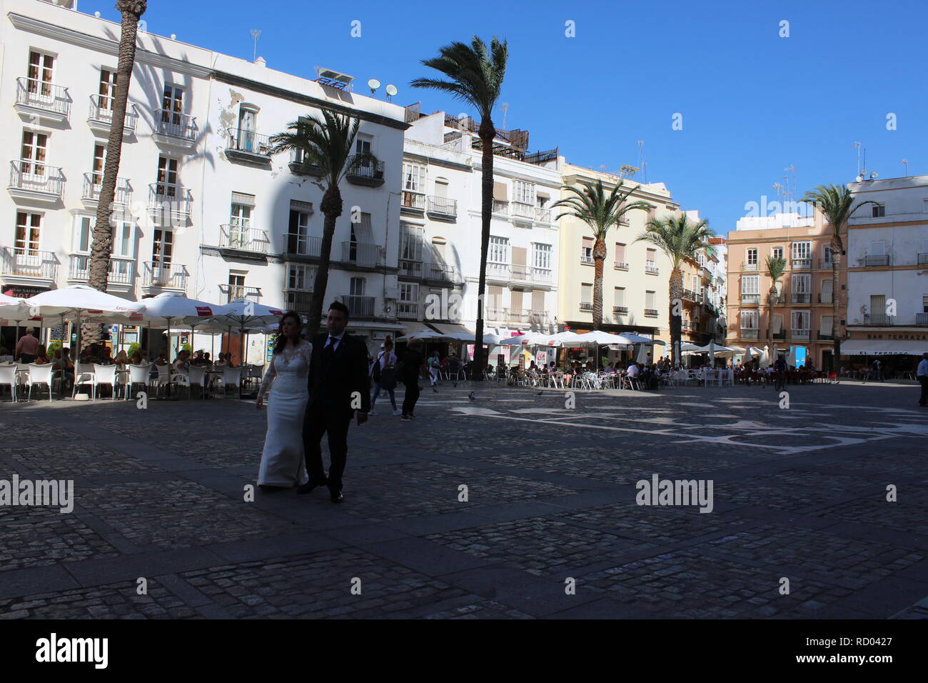 A couple during their wedding photography shooting in the main plaza in Cadiz next to the Cadiz Cathedral Stock Photo