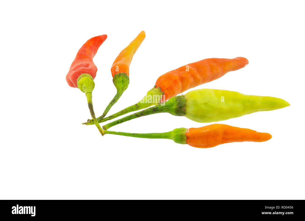 Chili pepper isolated on white background Stock Photo - Alamy