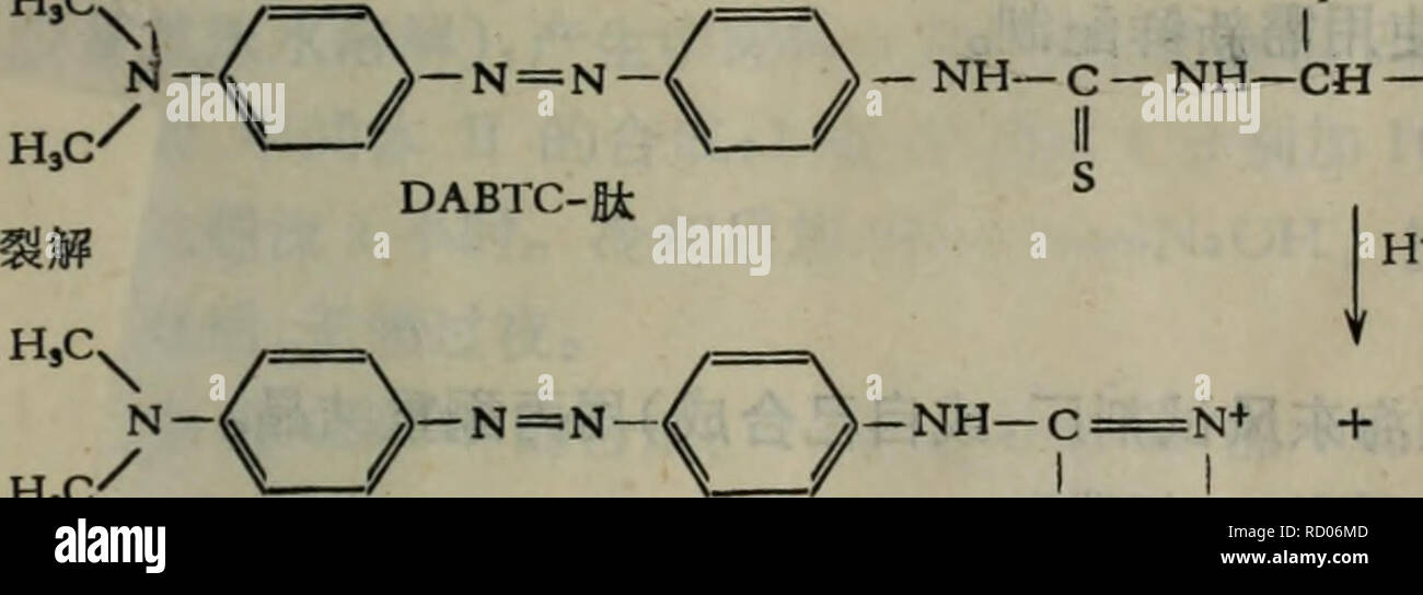 Dan Bai Zhi Shun Xu Fen Xi Ji Shu Botany Ai Aºae Ec Cµaecae Aeµaeae µi A A Eea A Aeaae C E E Ae Aeae C E E Ae Aºpth Ae Aºe A 4 N N A C Ae Aºa Ae E 4 A C Ae E E I C C Dabitc A Ae A C Ae E Caee Edmanee E a Ae C A C ººa Ce I Chang Jui Yue Aº1976a