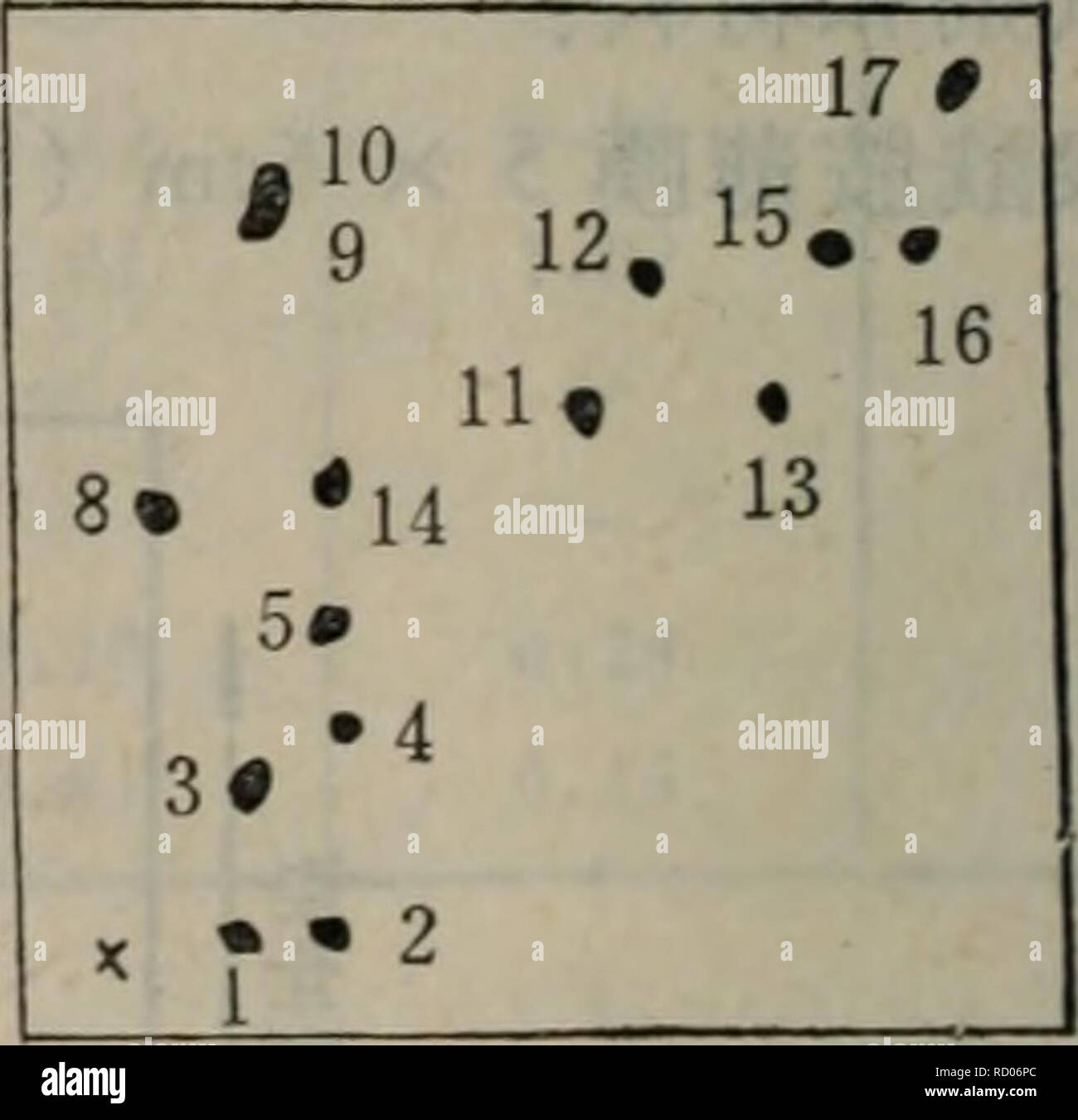 C2 30 5 High Resolution Stock Photography And Images Alamy