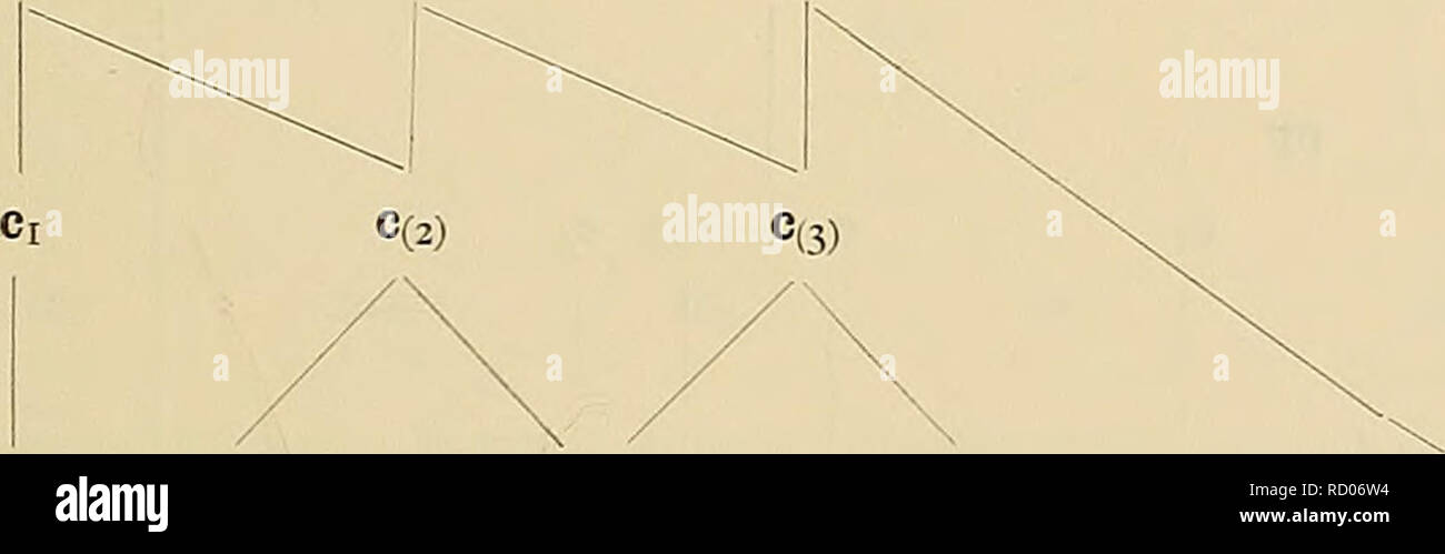 Page 7 1x1 High Resolution Stock Photography And Images Alamy