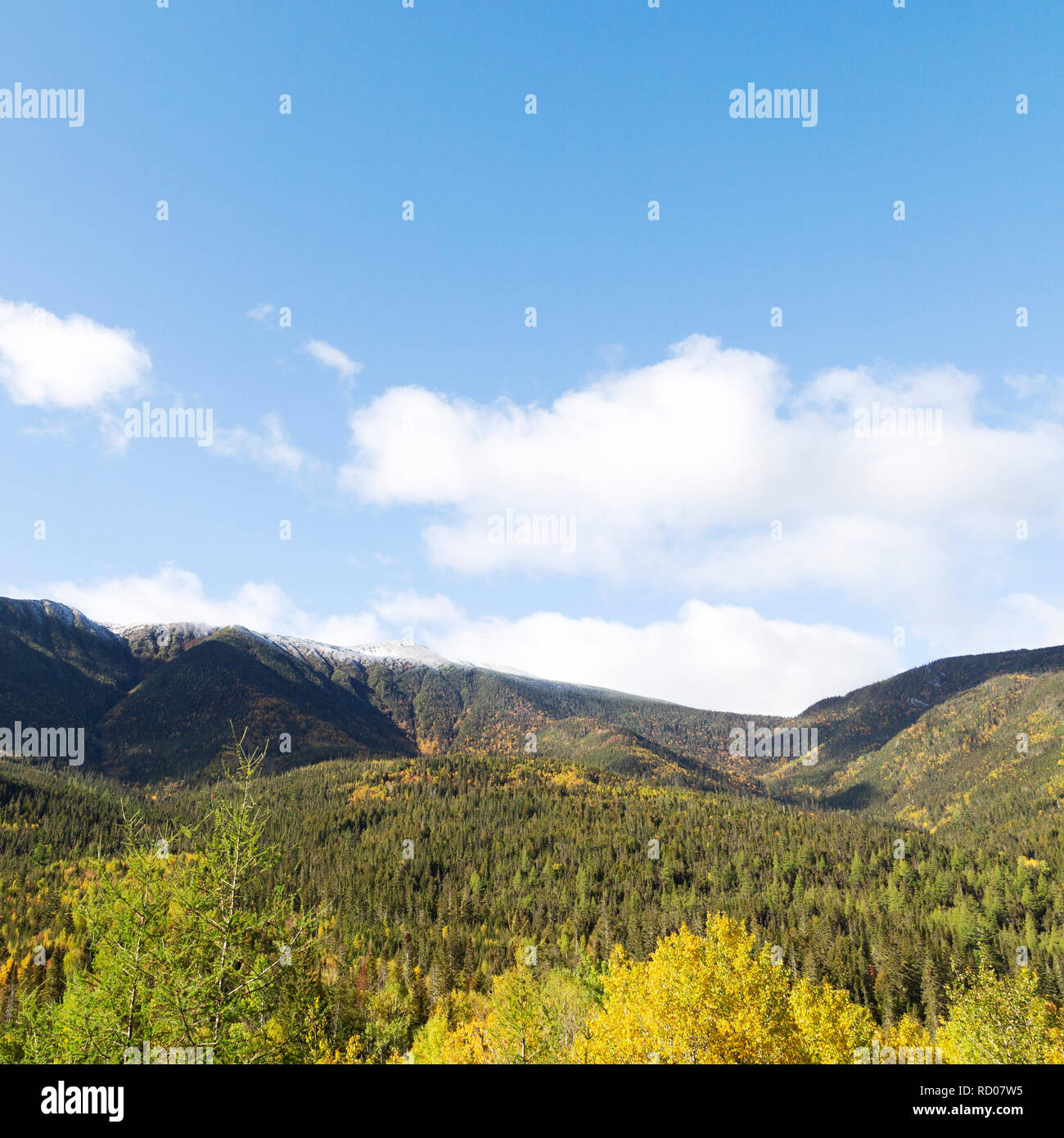 Autumn colours in Gaspésie National Park (Parc National de la Gaspésie ...