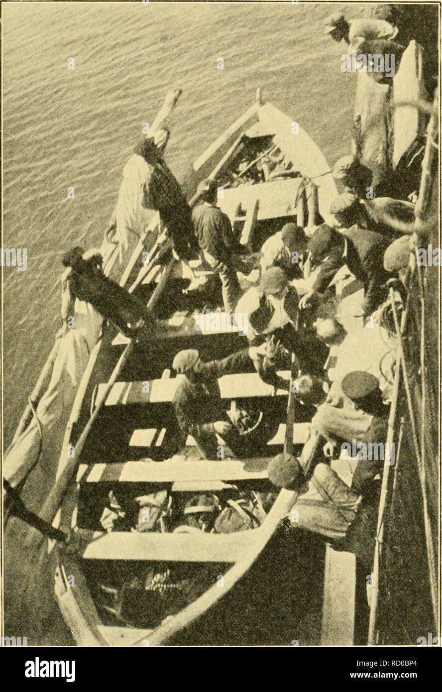 . The depths of the ocean : a general account of the modern science of oceanography based largely on the scientific researches of the Norwegian steamer Michael Sars in the North Atlantic. "Michael Sars" North Atlantic Deep-sea Expedition (1910); Oceanography; North Atlantic Ocean. CRUISES OF THE "MICHAEL SARS 65 metres, and a good deal of harm was also done to the others. All the same we managed to get some samples of interesting deep-sea forms, though such catches were of a more or less fortuitous nature. Off Lisbon the sea became calm, and we took hydrographical observations a Stock Photo
