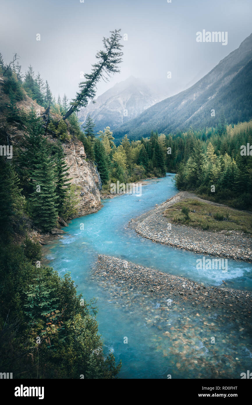 Alpine glacial river, The Bugaboos, British Columbia, Canada Stock Photo