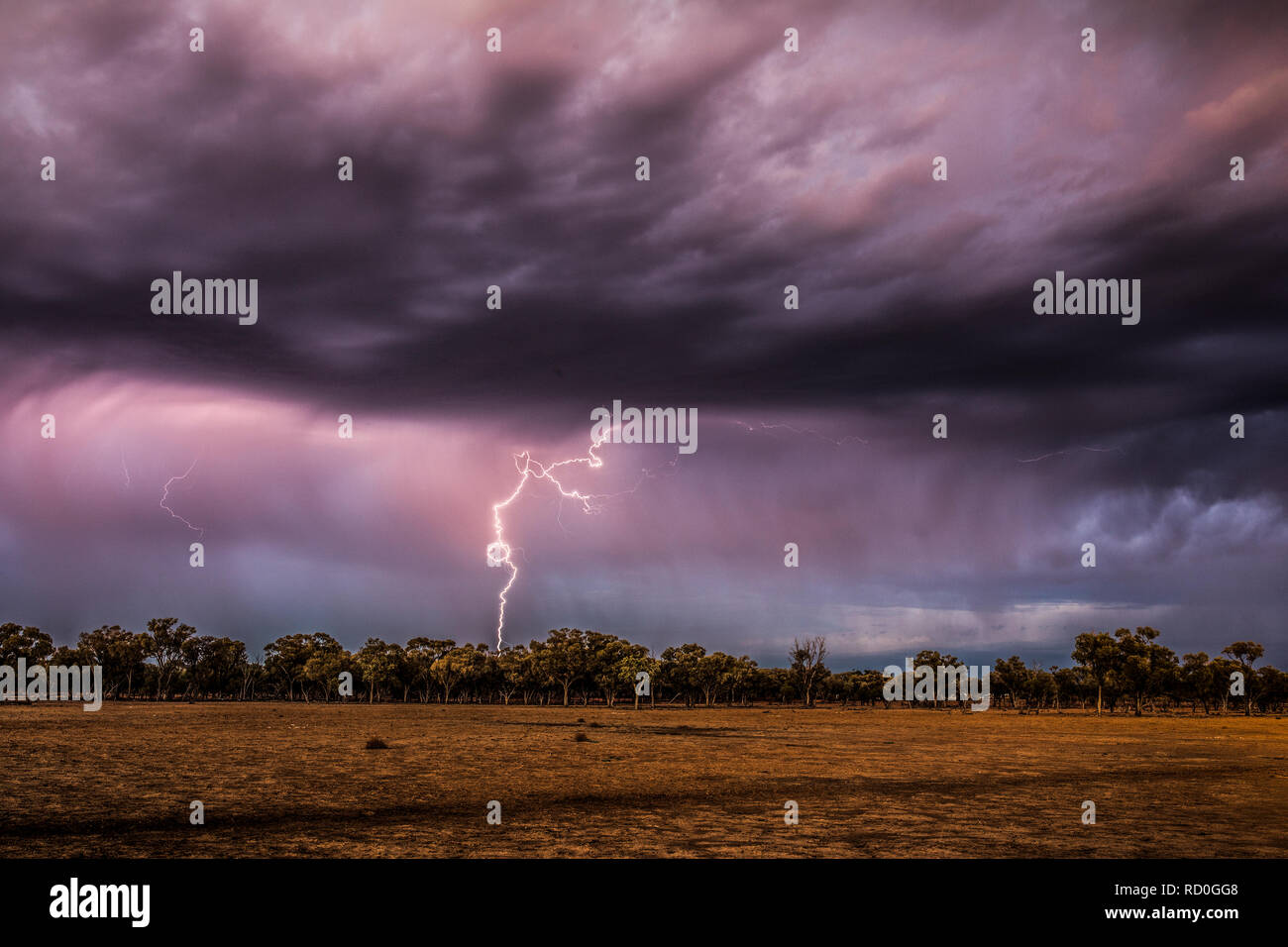 Thunderstorm in the outback, Queensland, Australia Stock Photo