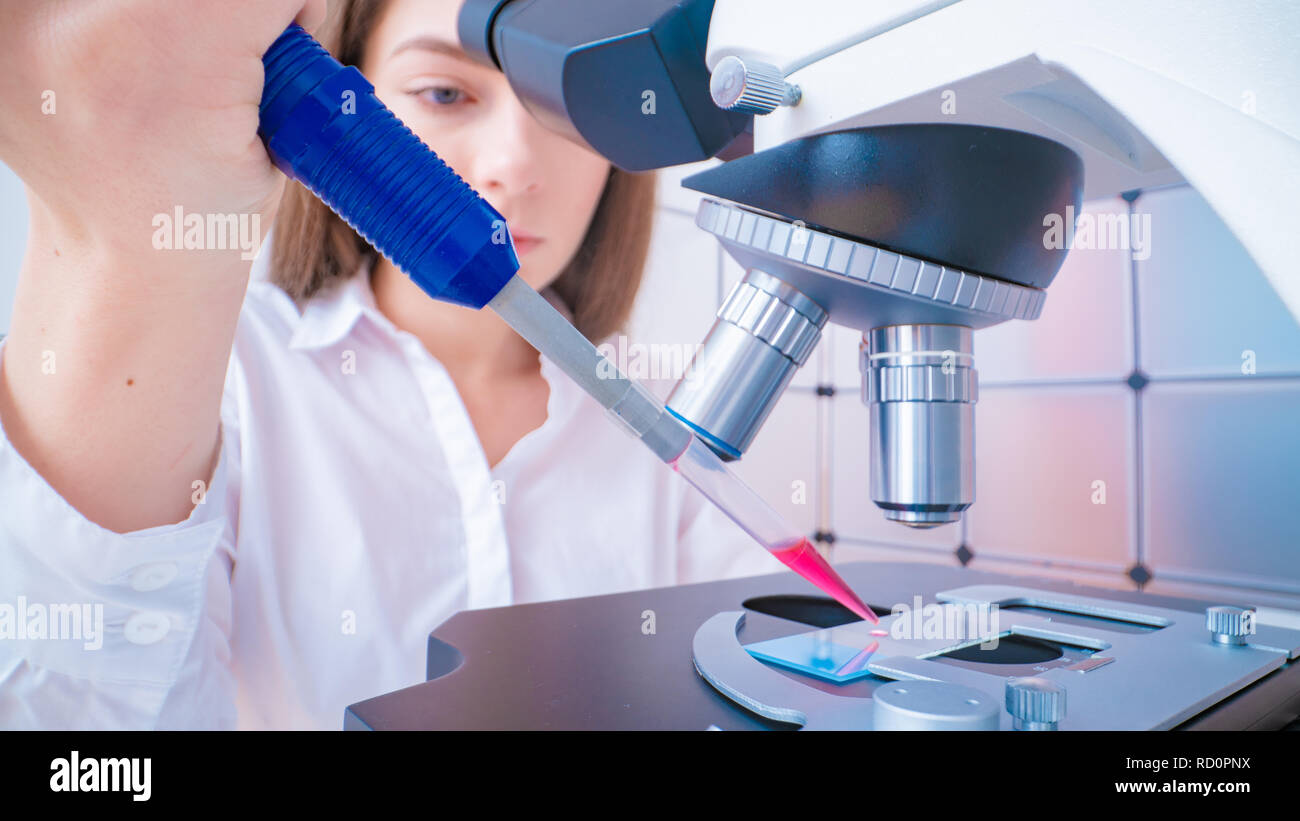 Scientist analyzing microscope slide at laboratory. Young woman technician is examining a histological sample, a biopsy in the laboratory of cancer re Stock Photo