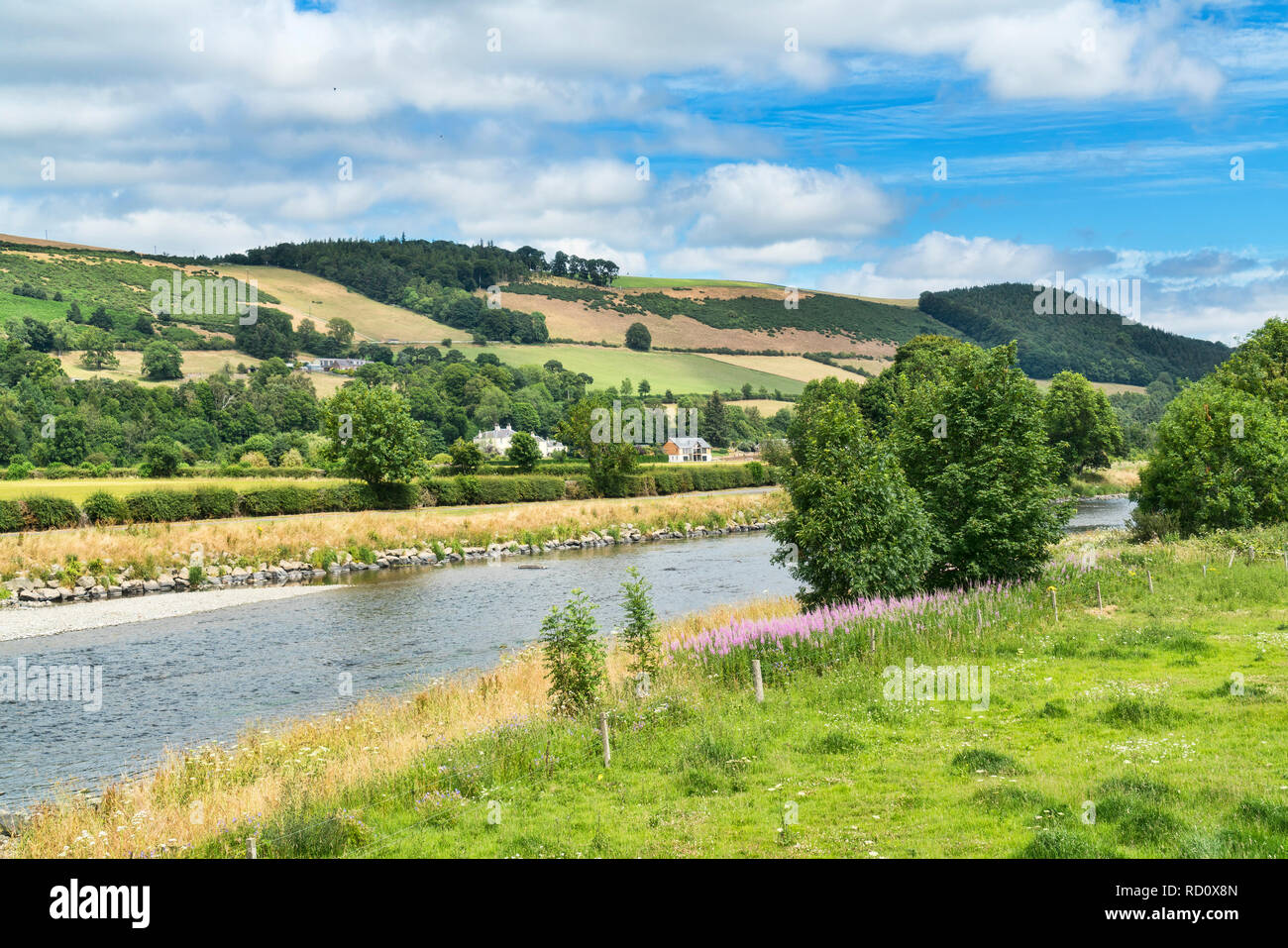 The River Tweed at Melrose, Southern Upland Way, Borders Region, Scotland, UK. Stock Photo