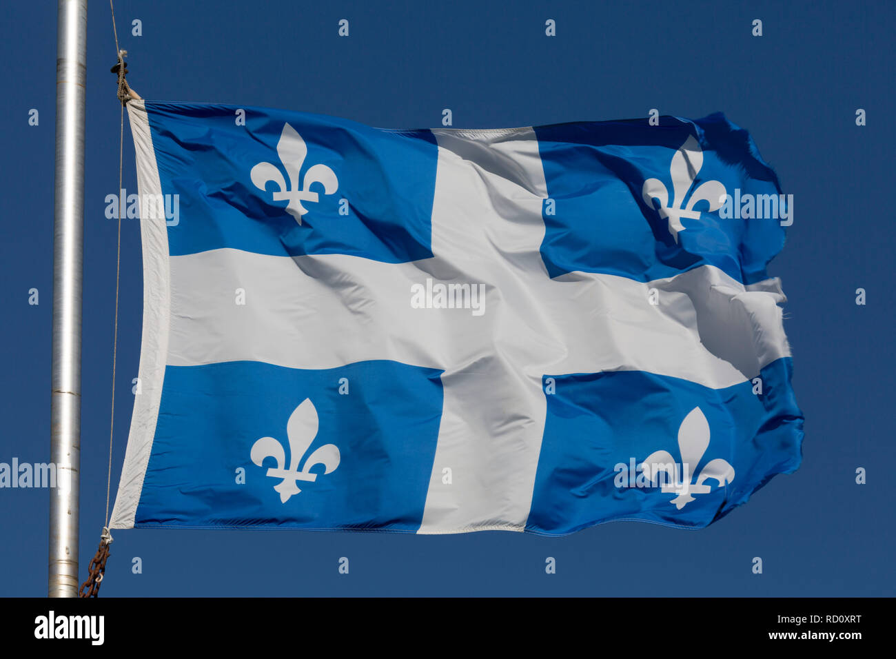 The provincial flag of Quebec flies in Quebec, Canada. The blue and white flag bears four fleur-de-lys emblems. Stock Photo
