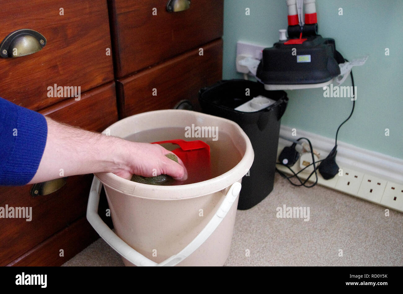Caucasian Man Rinsing Out Filer Medium from a Fluval External Power Filter for an Aquarium Stock Photo