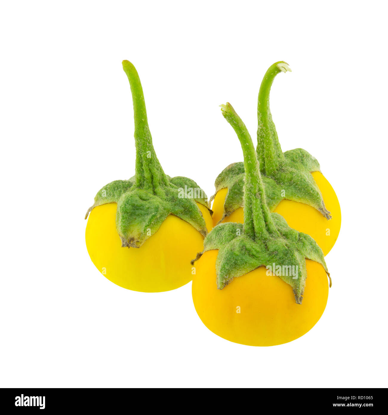 Yellow Eggplant isolated on white background Stock Photo Alamy