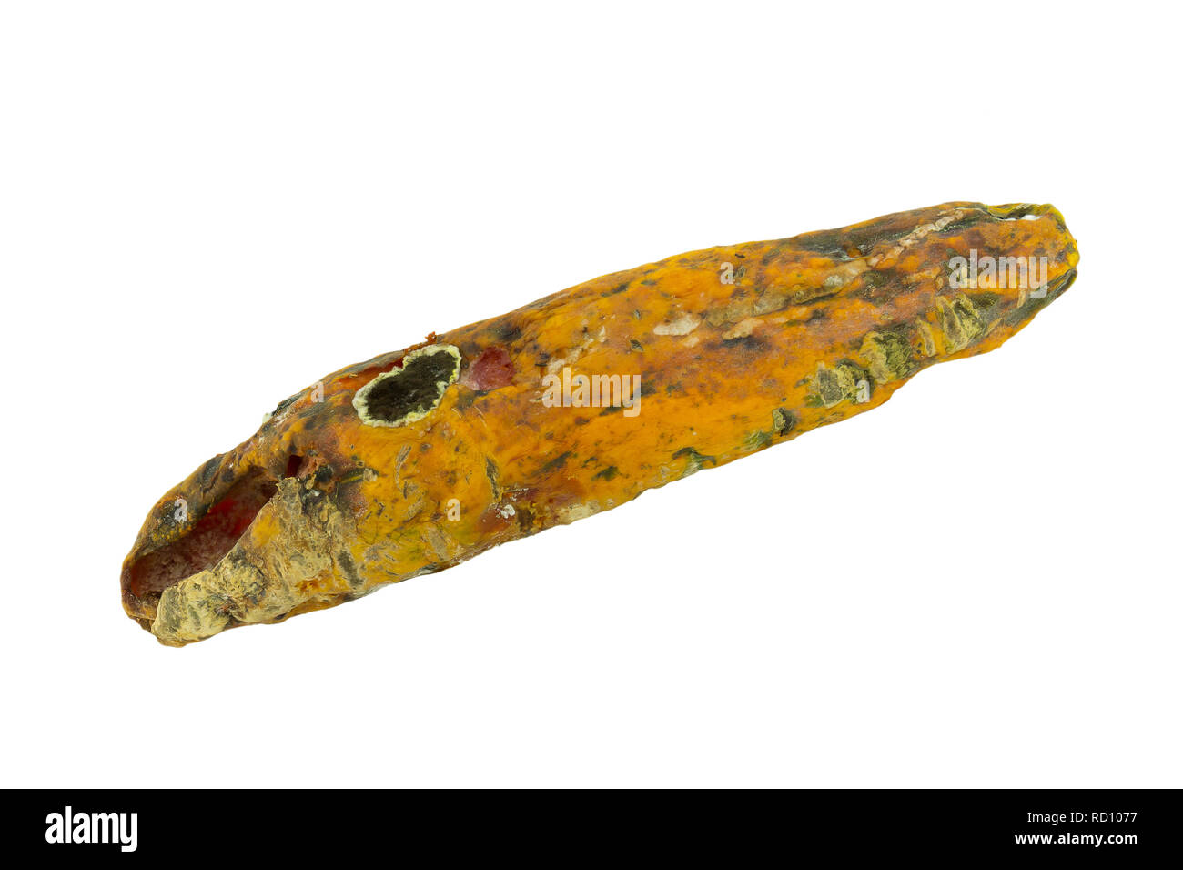 rotten papaya on white isolate background Stock Photo