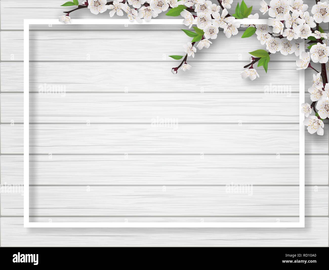 Frame with spring blossoming cherry branches. Stock Vector
