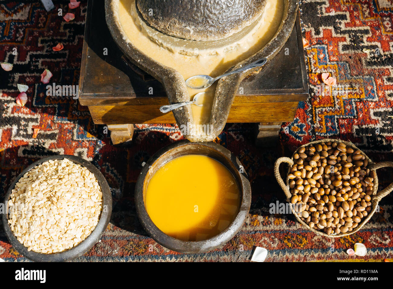 ARGAN OIL. Making of argan oil from argan nuts and seeds in Morocco.  Traditional method Stock Photo - Alamy