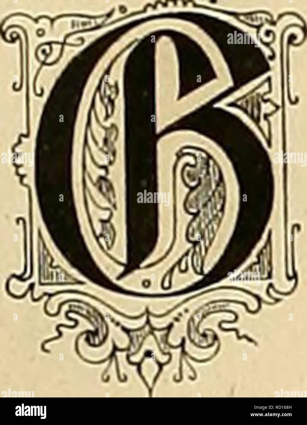 sejt high resolution stock photography and images alamy