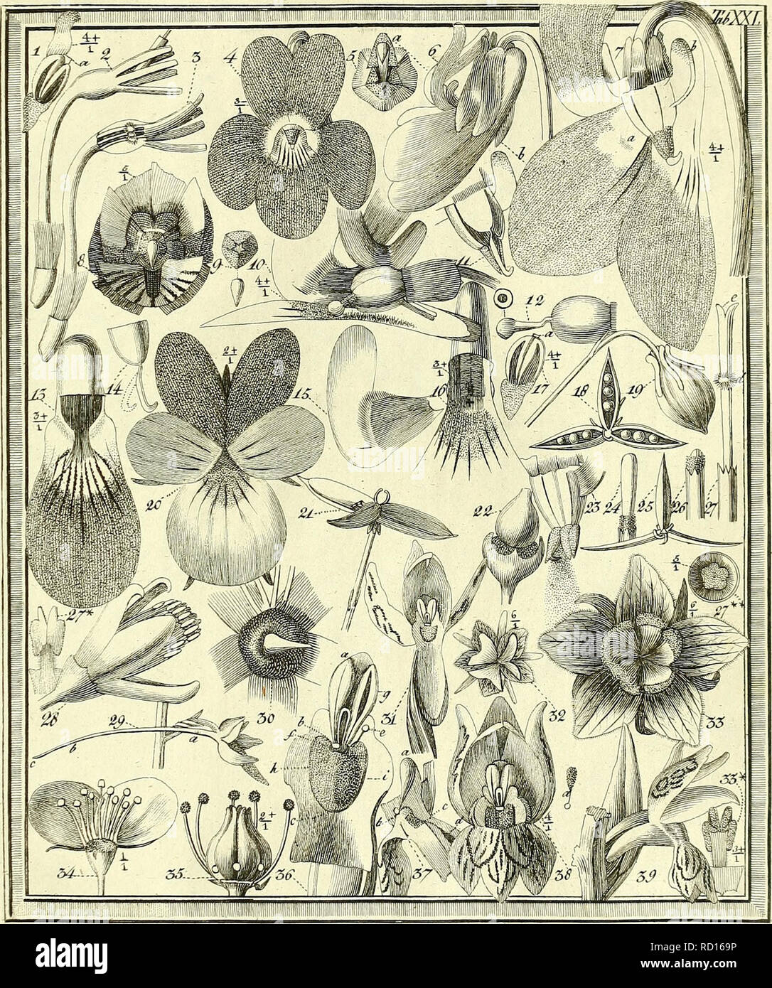 Booksubjectflowers Stock Photos Booksubjectflowers Stock