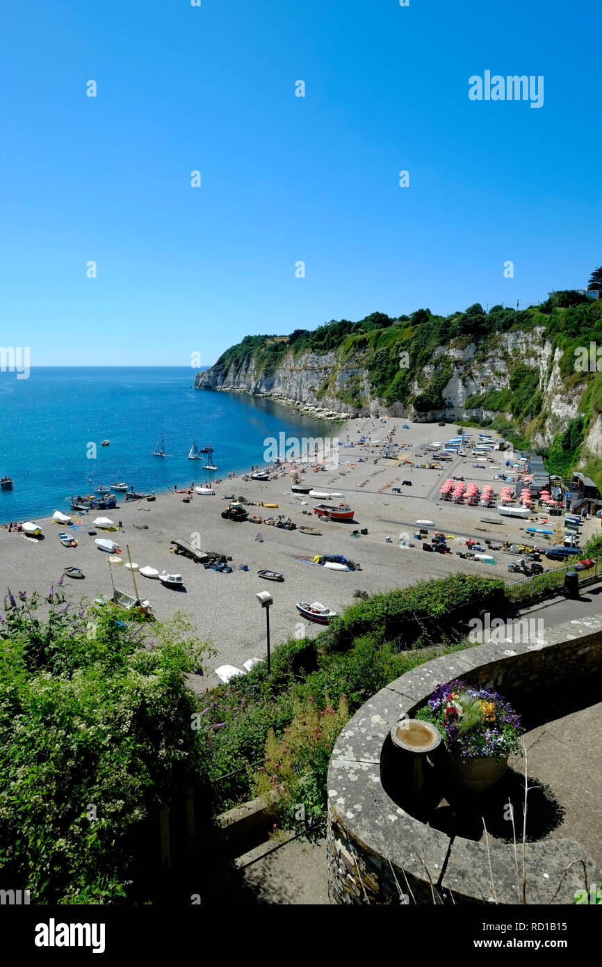 View of the beach at Beer, Devon. UK Stock Photo