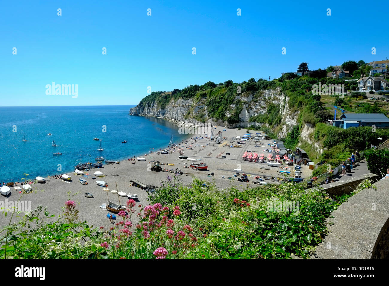 View of the beach at Beer, UNESCO World Heritage Site, East Devon. UK Stock Photo