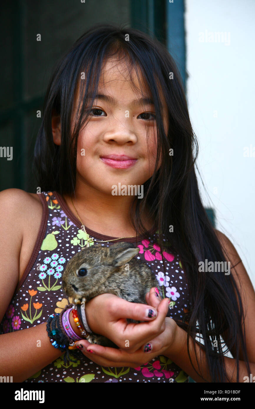 Rabbit in an old farm in france Stock Photo Alamy