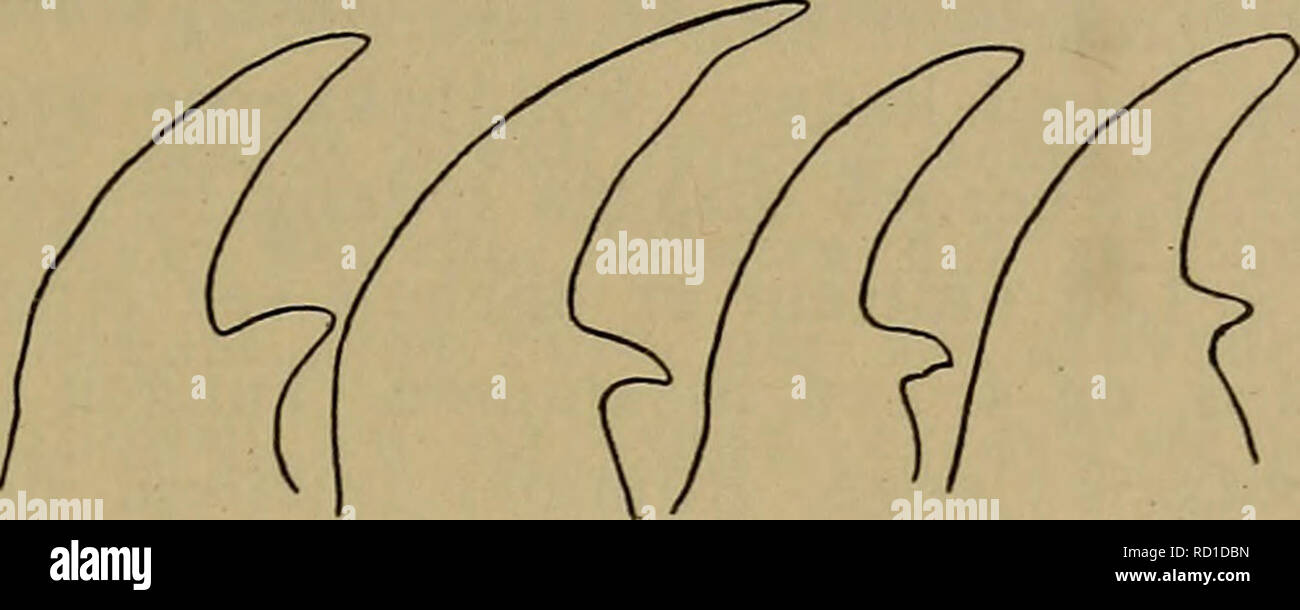 Miill hi-res stock photography and images - Page 3 - Alamy