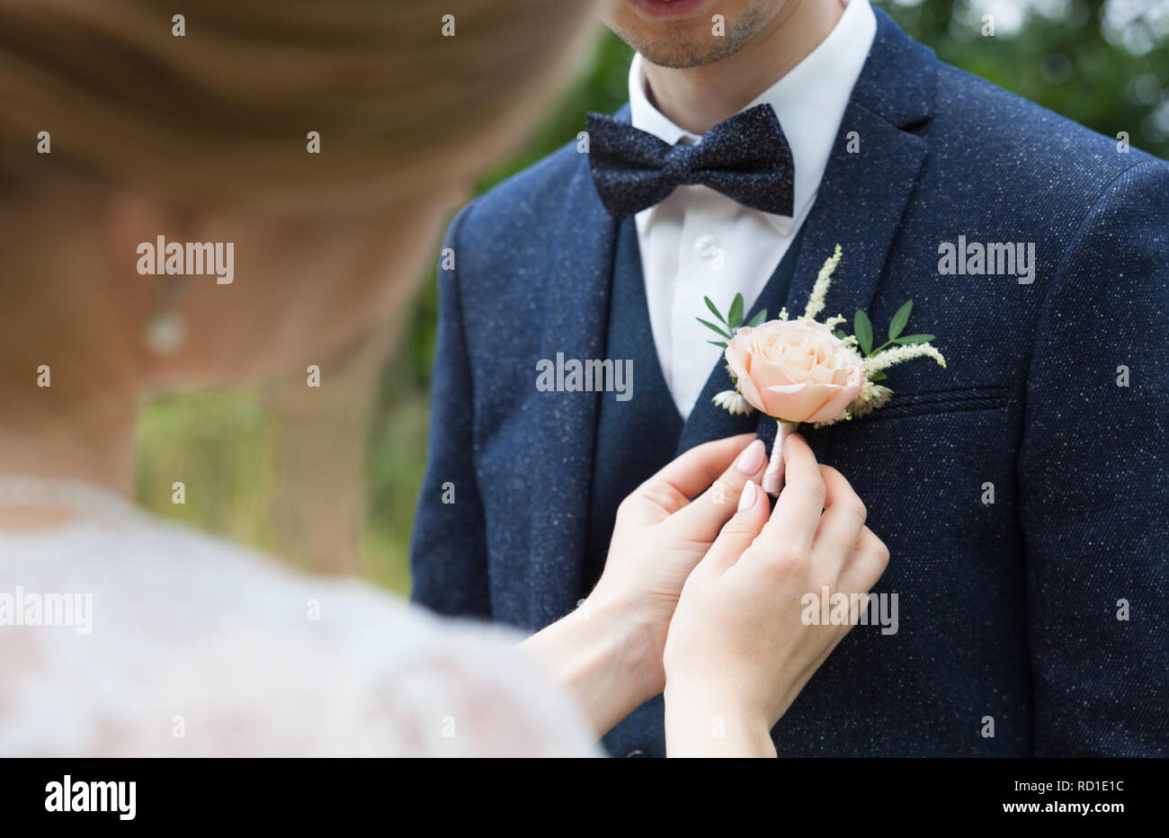 the bride attaches the groom a buttonhole on the lapel of his jacket Stock Photo
