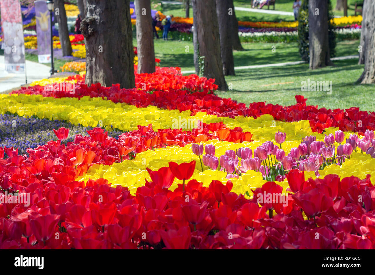 Spring blossom istanbul hi-res stock photography and images - Alamy