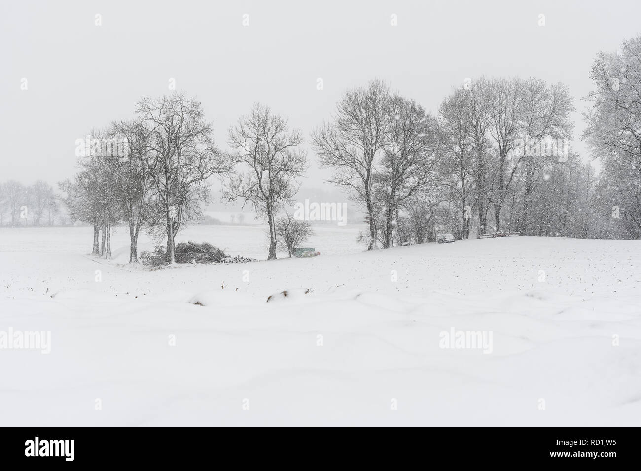 Forest and trees with snow in winter and blanket of clouds in Bavaria