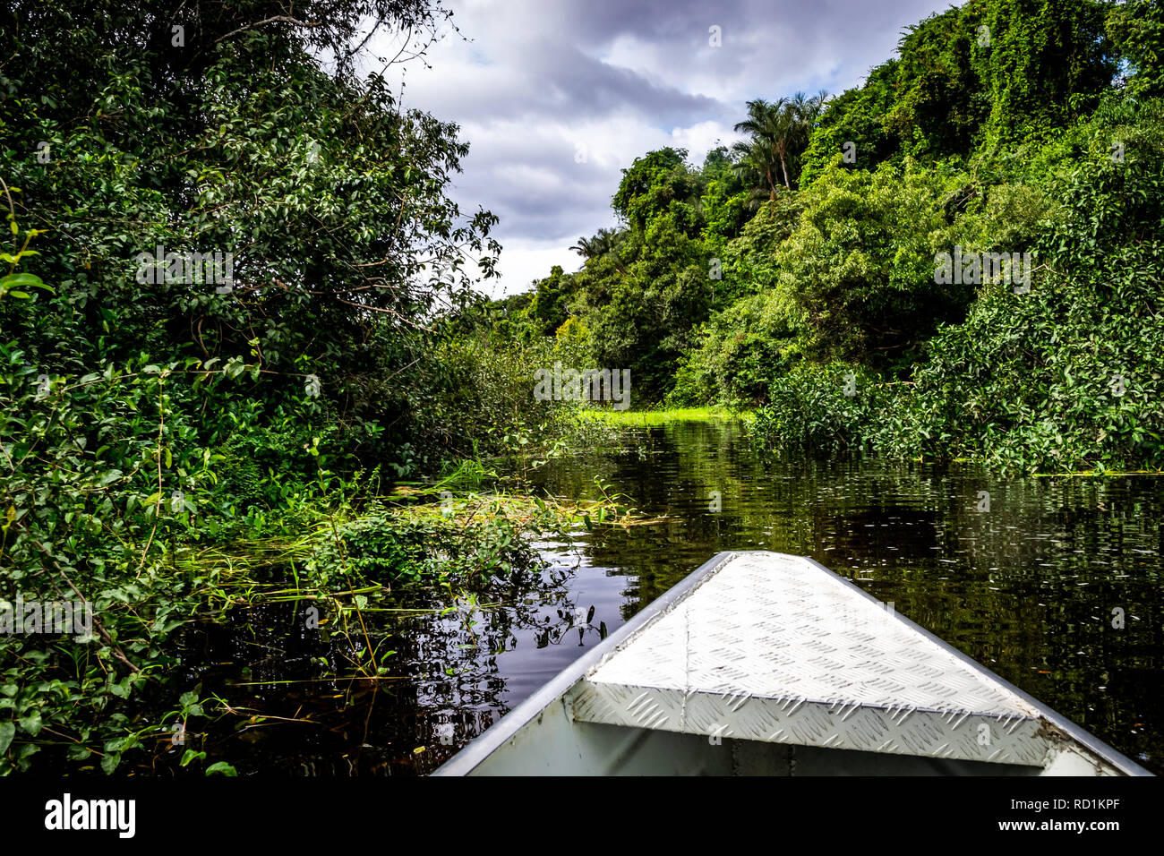 Novo Airão Amazonas fonte: c8.alamy.com