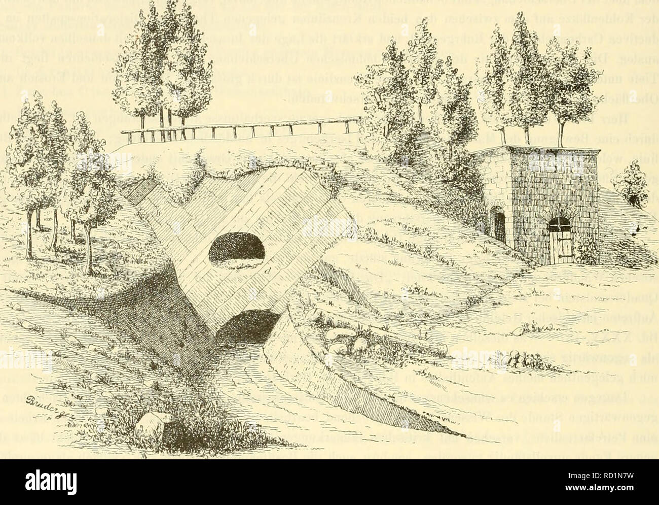 Denkschriften Der Kaiserlichen Akademie Der Wissenschaften Mathematisch Naturwissenschaftliche Classe 238 Georg Bruder Geologisches Zur Erkeuntniss Der Tektonischeii Verhaltnisse An Der Griinit Und Quadersandsfein Firenze Eignet Sich Wohl Der