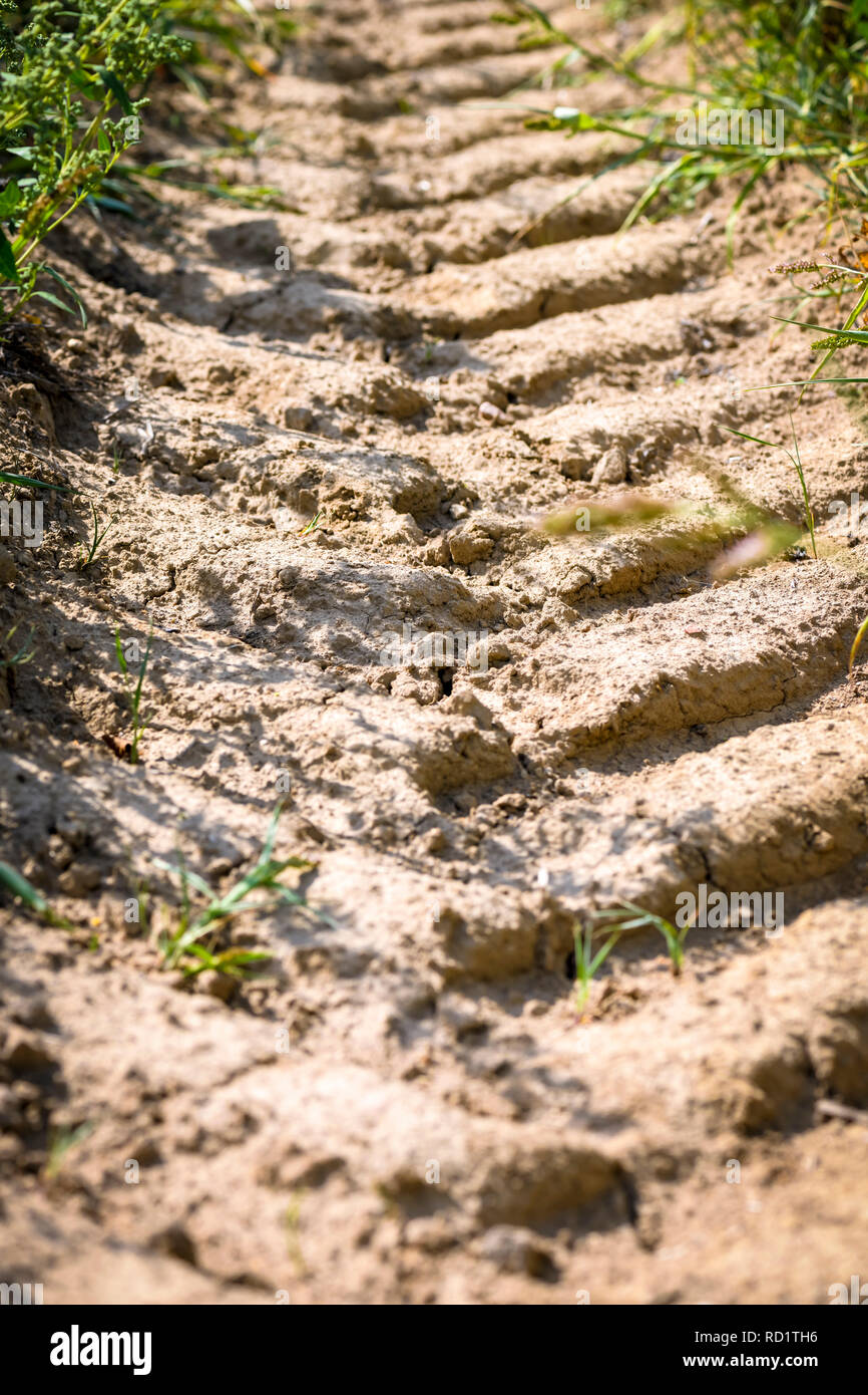 Track of a tractor on 1 acre, symbolic photo soil compaction, Spur eines Traktors auf einem Acker, Symbolfoto Bodenverdichtung Stock Photo