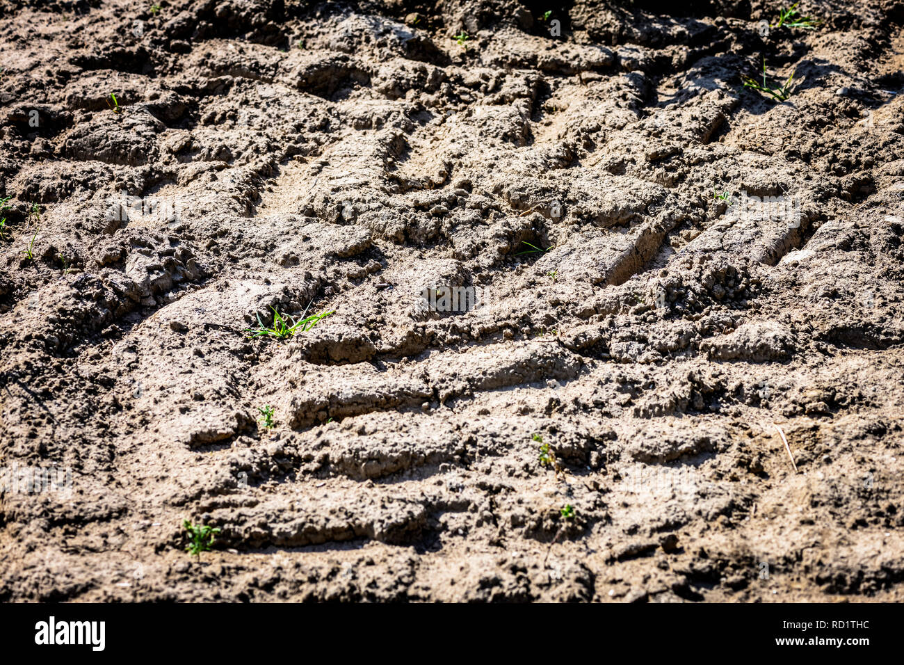 Track of a tractor on 1 acre, symbolic photo soil compaction, Spur eines Traktors auf einem Acker, Symbolfoto Bodenverdichtung Stock Photo