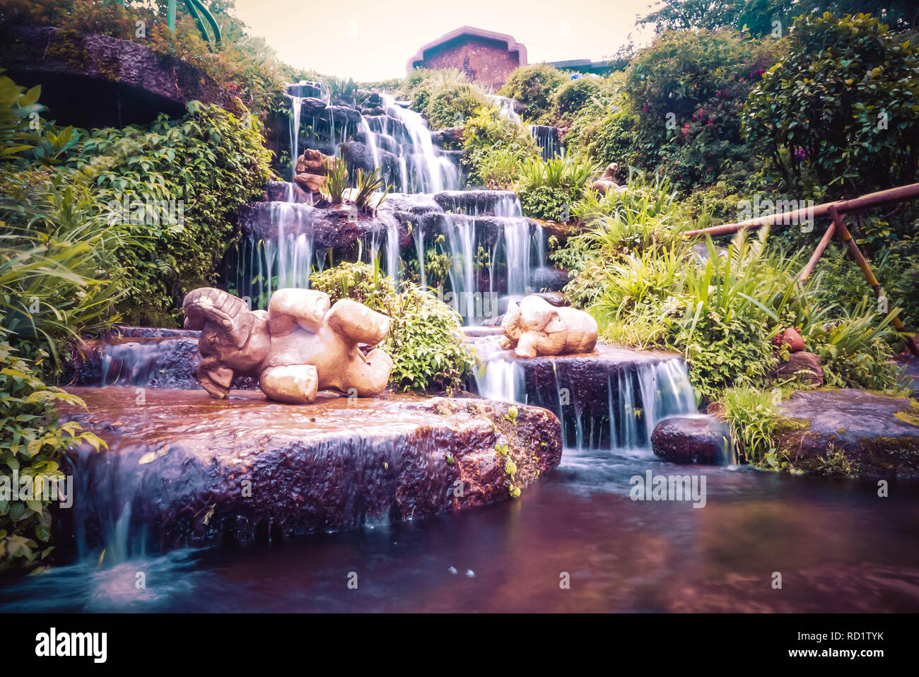 Waterfall, Doi Inthanon National Park, Chom Thong, Chiang Mai, Thailand Stock Photo