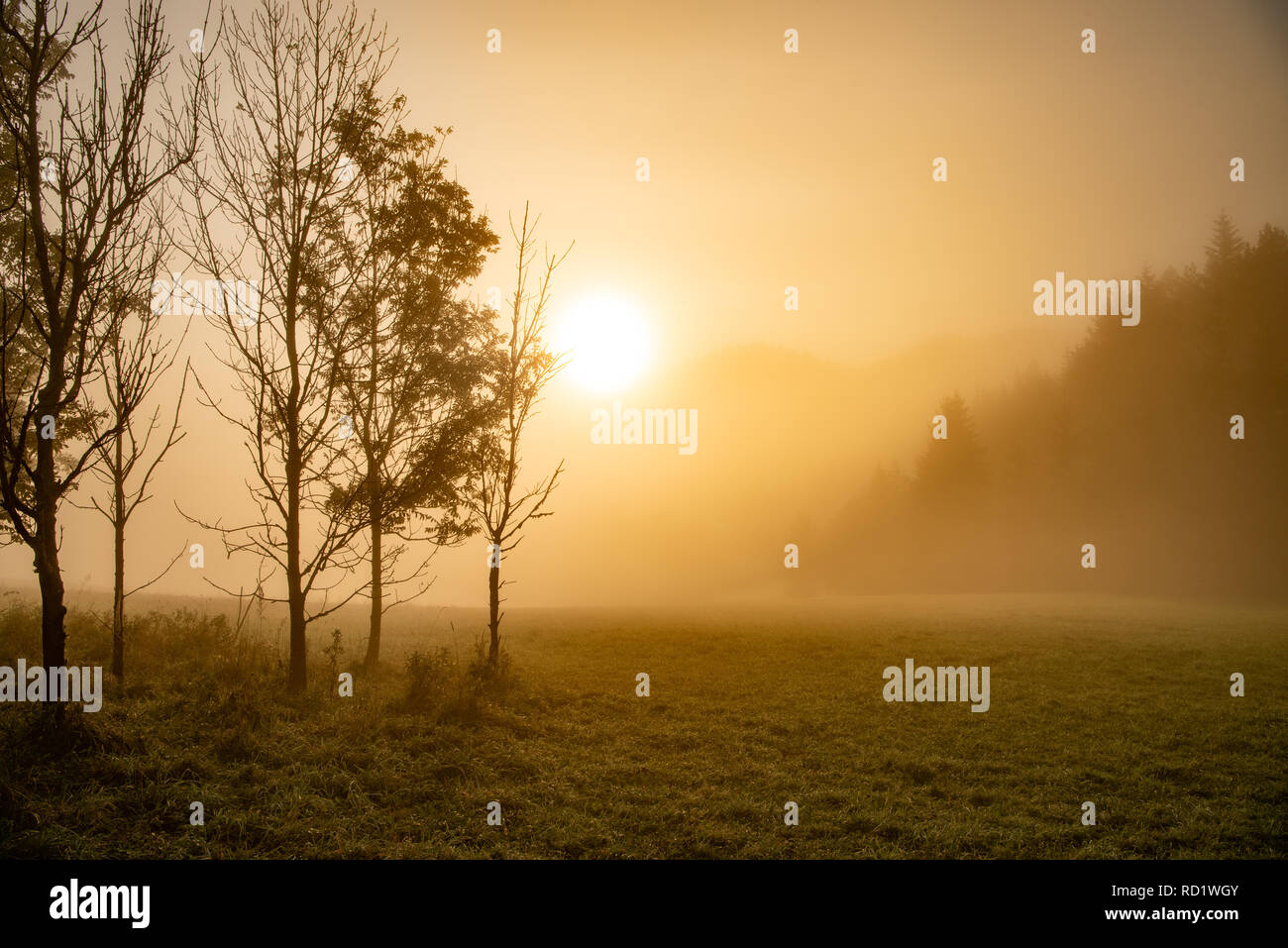 Sunrise over fields Stock Photo - Alamy