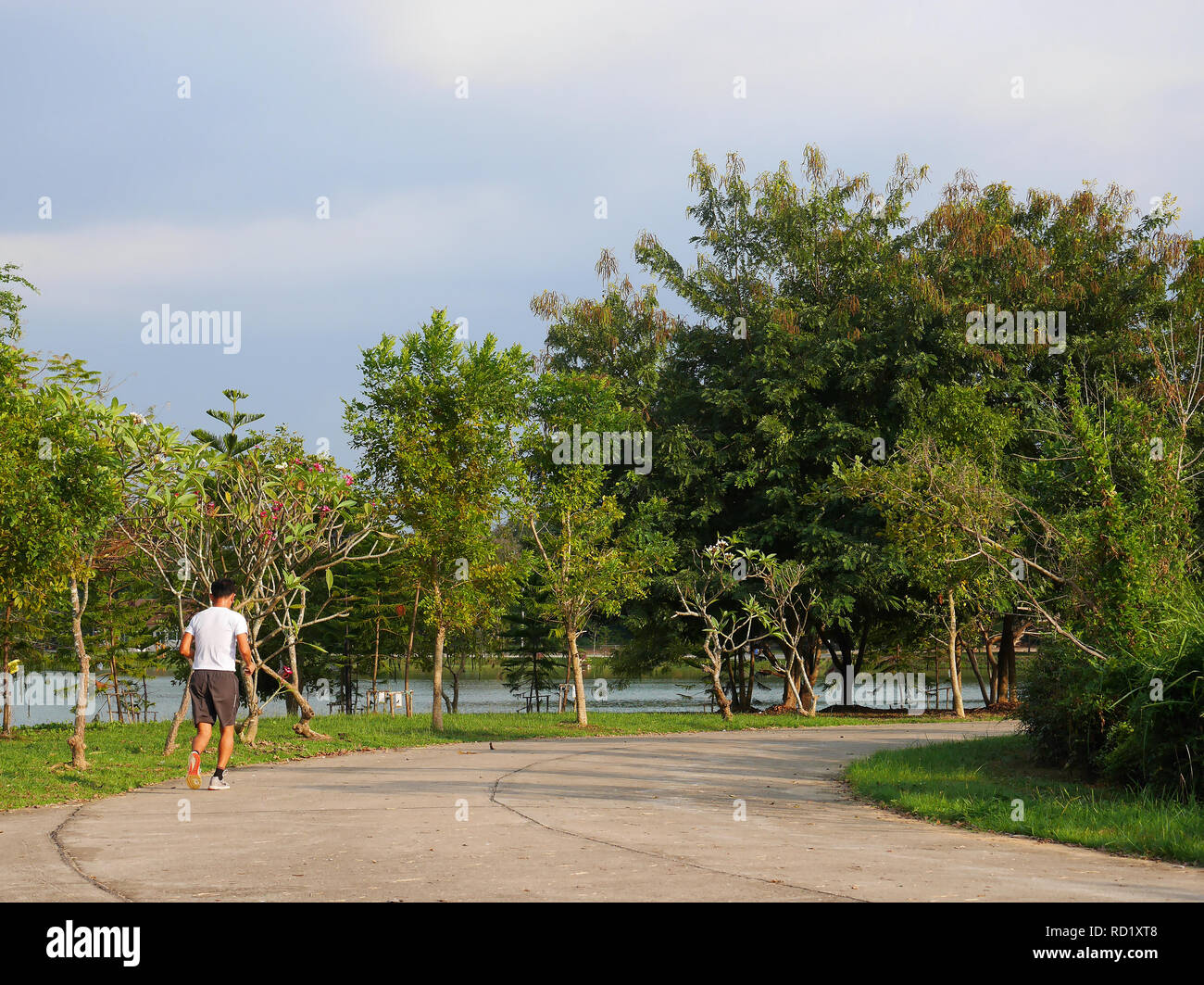 Back view of man running outdoor in park with lake and green trees under strong sun in summer Stock Photo