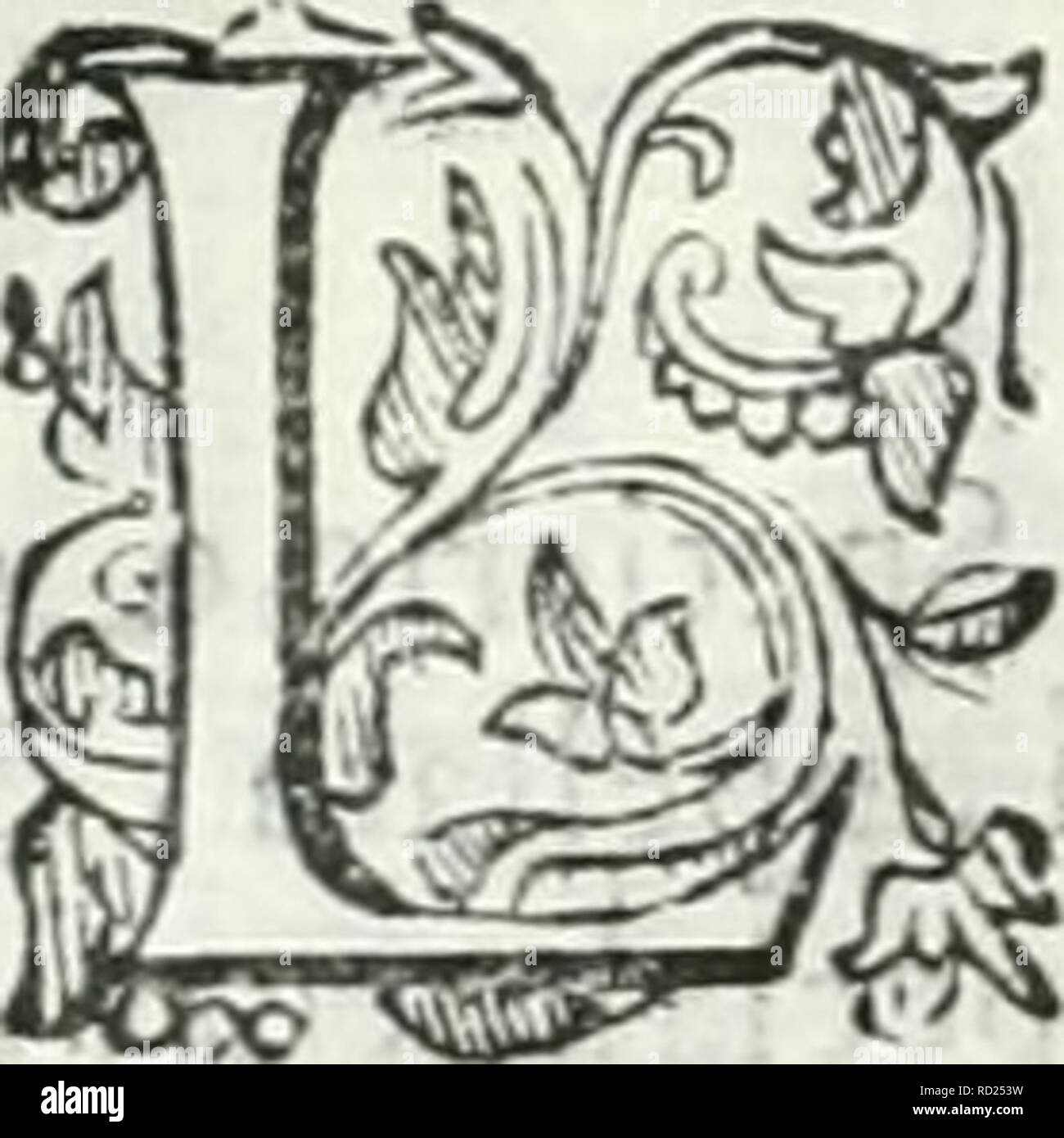 . Dell'elixir vitæ. Elixir of life; Distillation; Alchemy; Medicinal plants; Medicine; Workshop recipes. 6% Dell'Elixir Vitse Adiamo, Calli» tricon, & Poli tricon col Ca- pti Venere lo no vna mecieli- ma coi'a . Quii ira, e virtù del Capei vene re. i'ar:i del corpo, sthe prenderlo .rimedio dal ca- pti venere, go- h, > ilnca, p<r- roVe polmone . Al fla^o del cor pò fi di il capei venere. TI Cardo fanto, carjq benedet to anche è no- minato . Cnico,& Arrra- rife che cola_, fiano. Ridice del Car do fanto à nulla ginua.' Ridicola più co Ilo che vera vir tu dej Cardo sa to ⢠Con Stock Photo