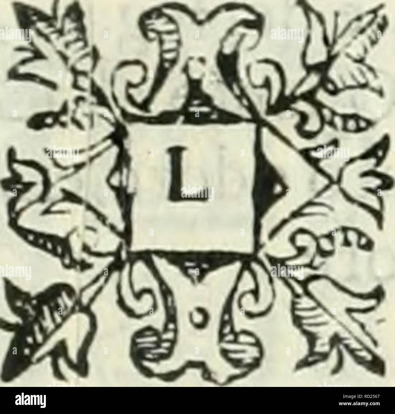 . Dell'elixir vitÃ¦. Elixir of life; Distillation; Alchemy; Medicinal plants; Medicine; Workshop recipes. M A C E. ASTEVOLMENTE del Mace, ch'Ã¨vnafeorza, che molto raftbmaglia quella picciola pelle, chefaffi dall'Em- brione , e che fi troua nella noce mofeata ne fcrifle Auicen- na e che conforta il core el fegato,hauendo qualitÃ aroma- Â£ tica, &amp; aftrmgente, e per quel chel'ifteflb ne IafciÃ² fcritto , rifolue tutte l'infÃ¬ammaggioni, eie Apofteme, eie Puftule, che egli in  lingua Arabica chiama Bothor . fa il Mace buon fiato, purga la tefta, rin- forza il Fegato, e lo ftomaco &amp; Ã¨ val Stock Photo