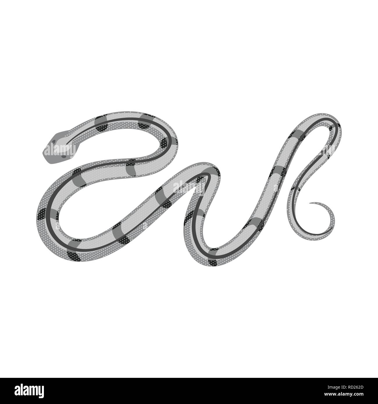 snake,tail,peril,bounce,horror,animal,spiral,brazil,tropical,forest ...