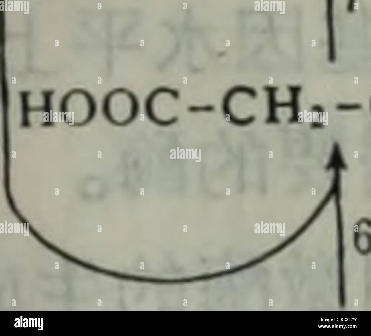 Dai Xie Tang Dai Xie Ji Qi Tiao Kong Yu He Suan Dai Xie Botany Ch Choh Cooh 2h Ch Ch Co Coa Ch Co Cooh A Cc C C Coi Cc C C Hooc C Co Coa S C H