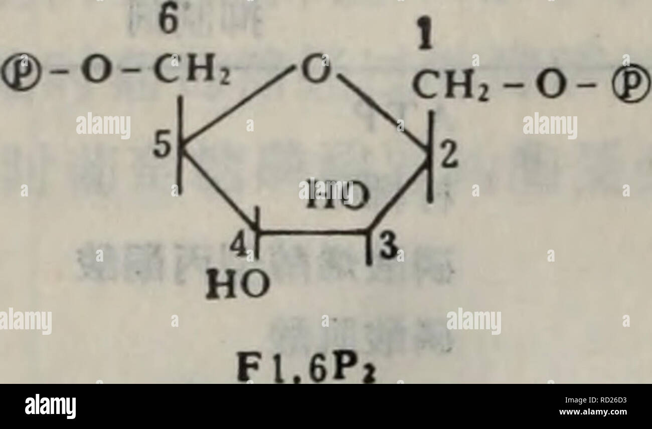 Dai Xie Tang Dai Xie Ji Qi Tiao Kong Yu He Suan Dai Xie Botany I A Ae e E Ae Ec Ac C E Ae C A E Pfkcc C E Ai A A Ea F2i 6p Cae A I A E Ae C Aºaa Aeaºa Ae µe Eaº Aºf2 6p2a Ae E Ce Ea C I A A C E E E E ºa Cm F1 6p Caea Cc E A