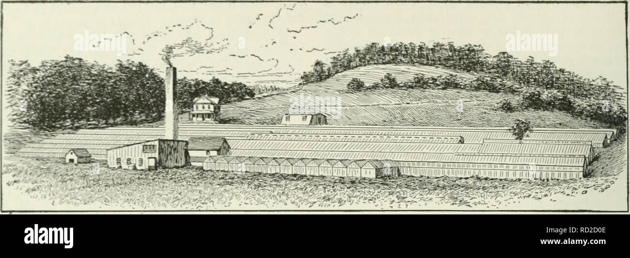 . Cyclopedia of farm crops : a popular survey of crops and crop-making methods in the United States and Canada. Agriculture -- Canada; Agriculture -- United States; Farm produce -- Canada; Farm produce -- United States. 128 PLANTS IN RESIDENCE WINDOWS. Fig. 184. A modern floricultural establislmient. (Pierce Bros., Waltham, Mass.) pipes also can be much smaller than with hot water, a two and one-half-inch pipe being amply large for a house 20 by 100 feet. Two methods are commonly used for arranging the steam heating pipes in greenhouses. In one, the flow-pipe is carried to the farther end of t Stock Photo
