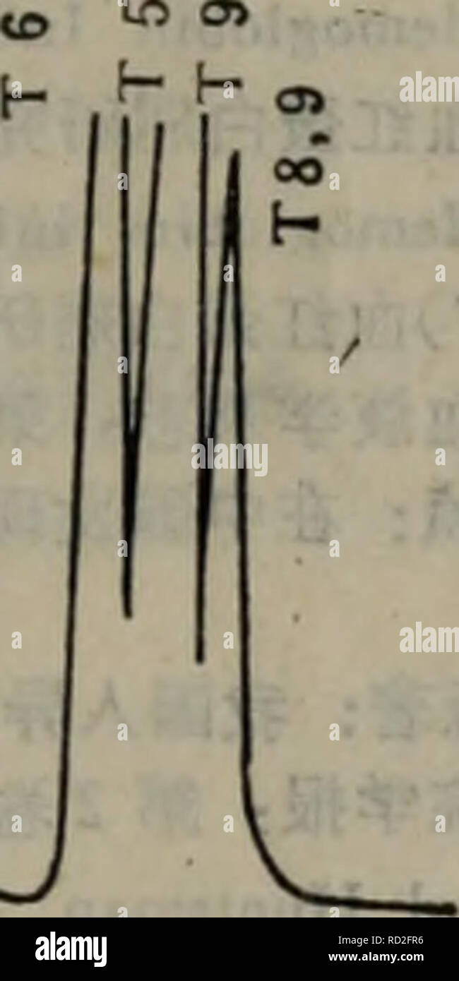 Cxe High Resolution Stock Photography And Images Alamy