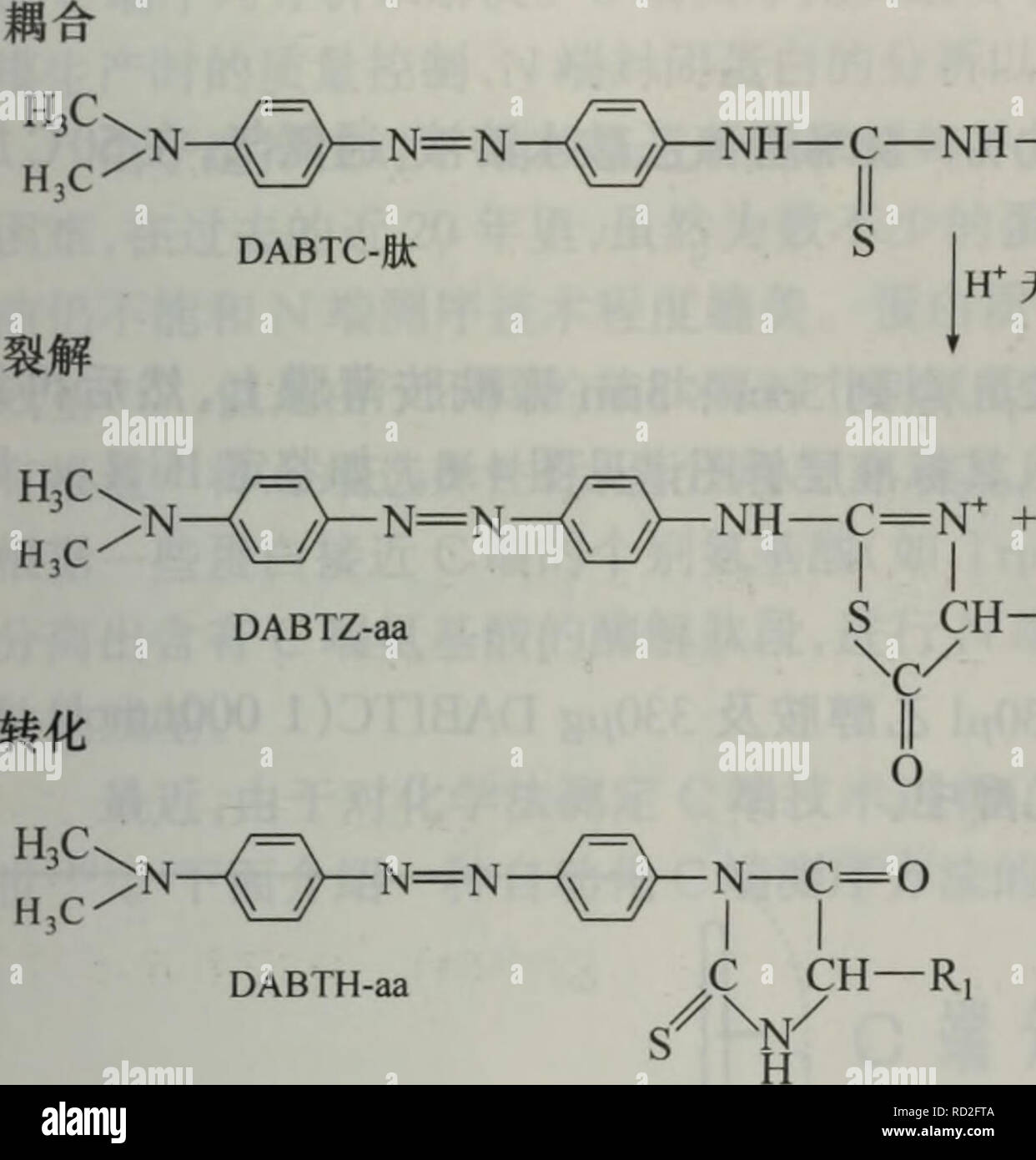 Dan Bai Zhi Hua Xue Yu Dan Bai Zhi Zu Xue Botany A N N Ri