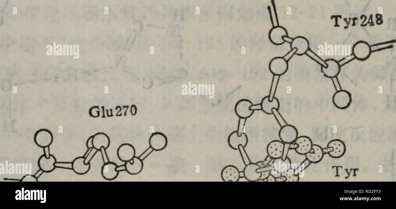 69 High Resolution Stock Photography And Images Alamy 69 High Resolution Stock Photography And Images Alamy