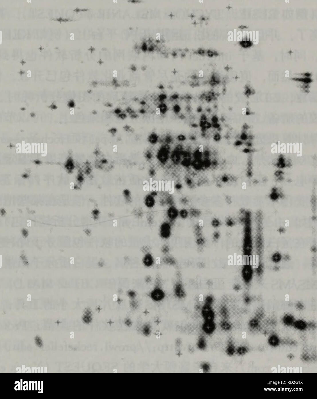 nmd w 界面活性剤