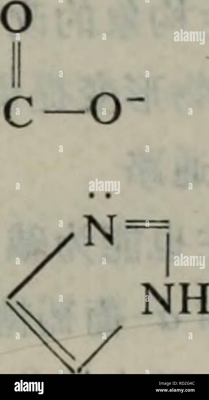 Dan Bai Zhi Fen Zi Ji Chu Botany O O Ae Chsaca Sacshsan Nh Ch Aca N A A 4 H 0 Ch Coo H N Nh A Aeae ºa A A A Aºc I A 0 Ch2acasch2acshc Ch 0 Ch A