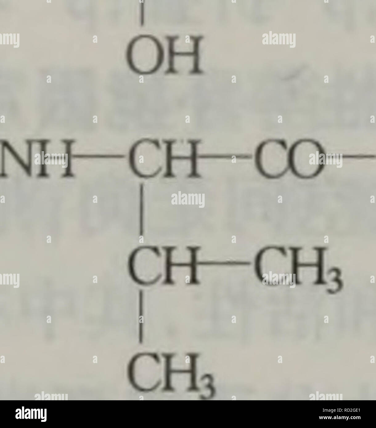 Dan Bai Zhi Hua Xue Yu Dan Bai Zhi Zu Xue Botany C E Ae Aºe E Aea A A Ae C A Aa Ae C A C Ae Ae Aºaa E E Dac Cµc E Ae E Tyrosine Tyr Y C Ile Valine Val V